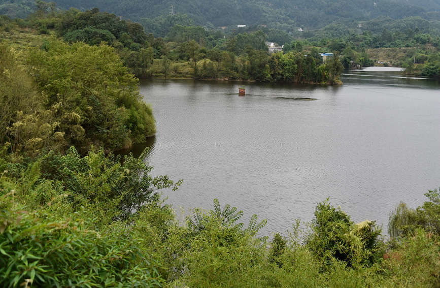 ۹ȺL(fng)箋SӔz