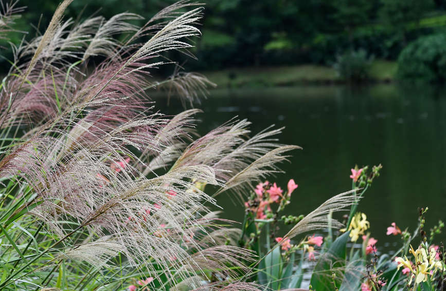 r(sh)֣۹ȺL(fng)箋(hu)SӔz