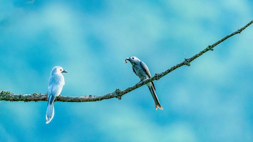 ɽ(gu)Ȼo(h)^(q)ĔzĻҾβz