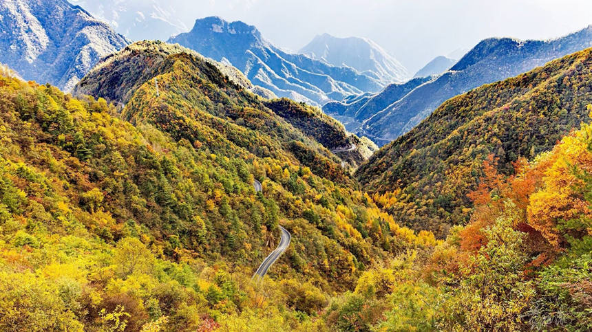 ɽX֮g~һXһXSMz