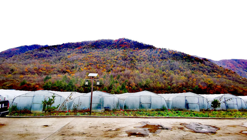 ǿڿhl(xing)ƺ߲˴SMz