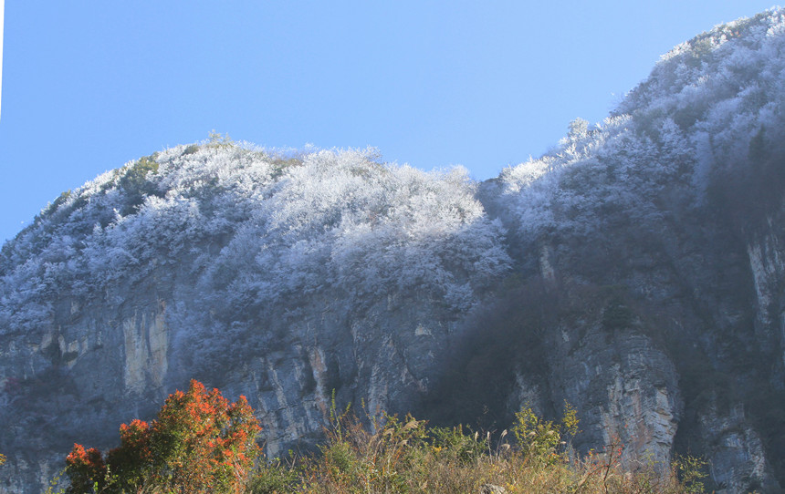 1110գ׍{֮pF(xin)Fڡ^Rȑcz