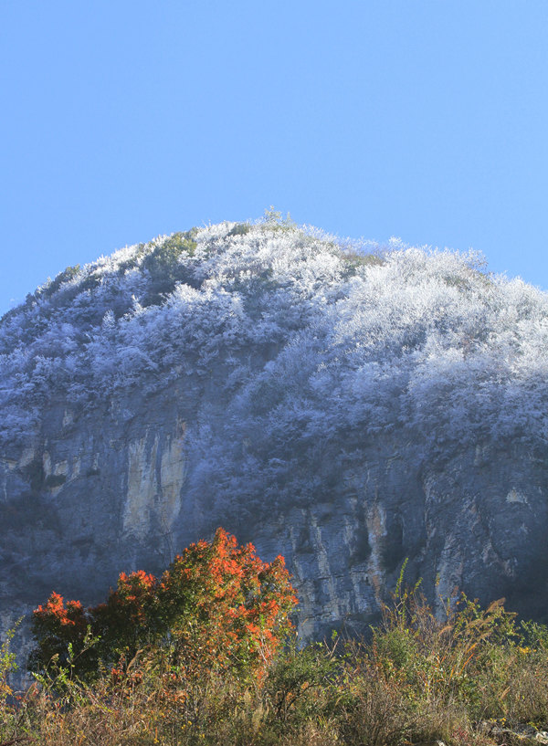 1110׍{֮pF(xin)Fڡ^Rȑcz