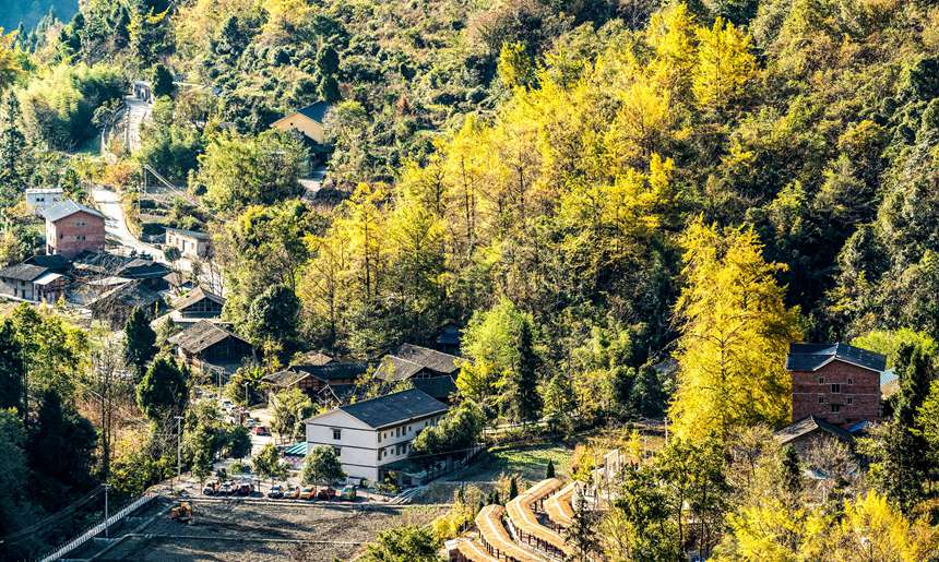 ϴ^(q)¡(zhn)yӴz