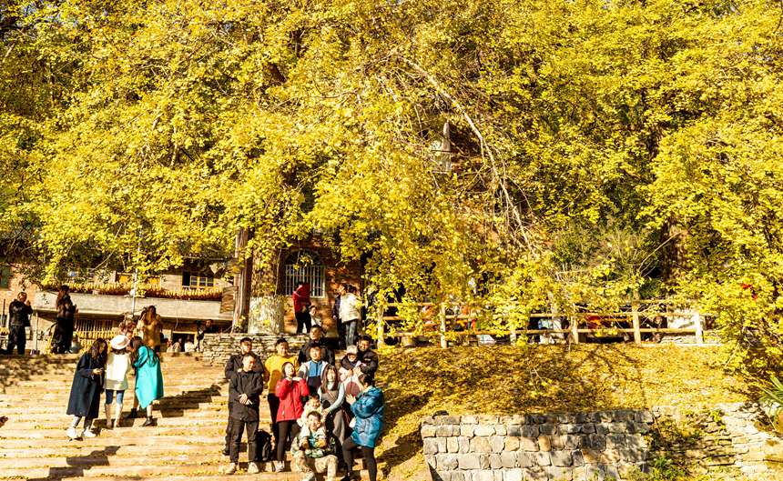 ϴ^(q)¡(zhn)yӴ塣z