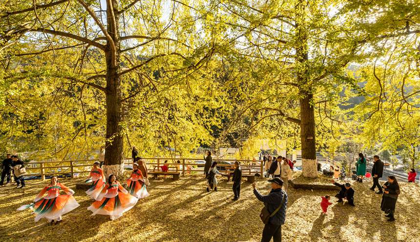 ϴ^(q)¡(zhn)yӴz