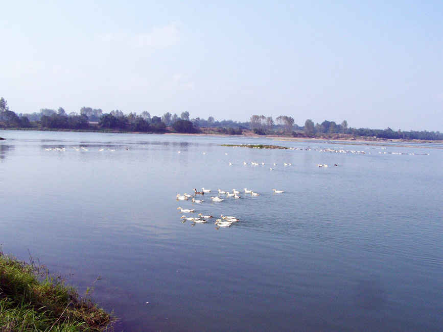 ؑc(gu)ҝع@ؑc֘I(y)ֹD