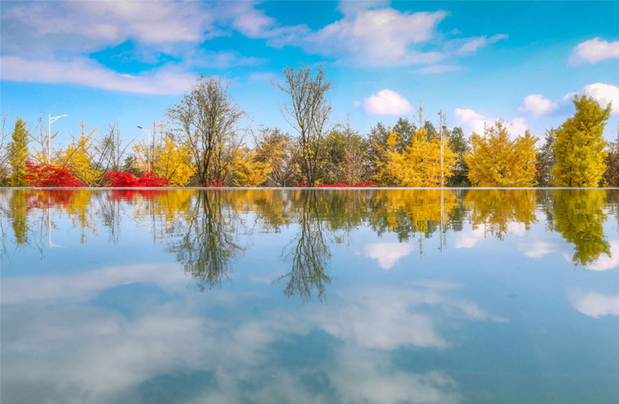 藍(lán)天彩林倒影水中，絕美如畫。武隆景區(qū)供圖