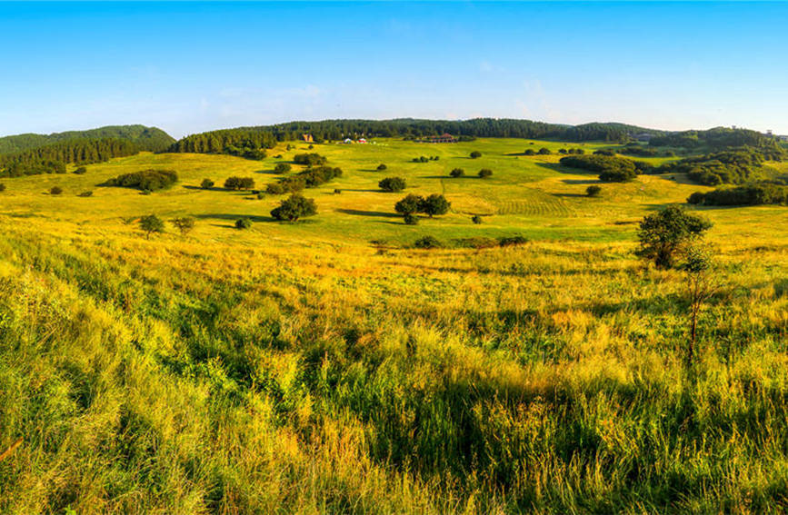 色彩斑斕的仙女山。武隆景區(qū)供圖