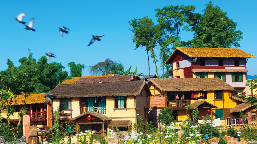 山^(q)d¡(zhn)YݻٲͥԺDؑcסl(xing)ίD