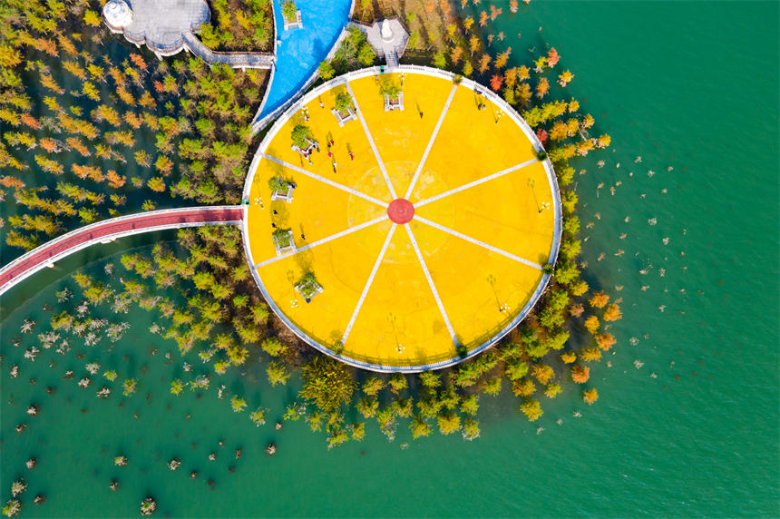 _VIʮLȺ͡ˮɭ֡γһnL(fng)svz