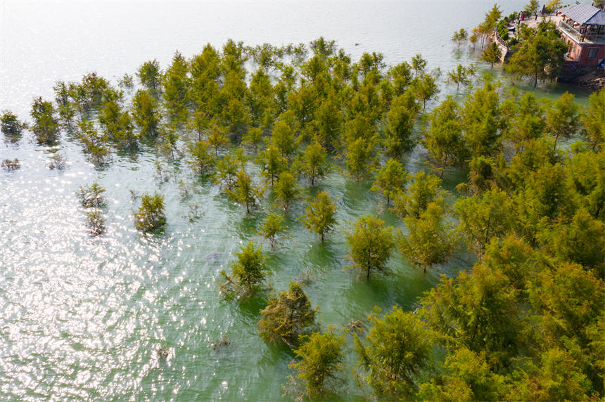 ɽɼMһˮɭ־^svz