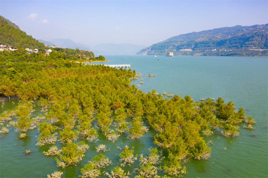 ɽɼMһˮɭ־^svz