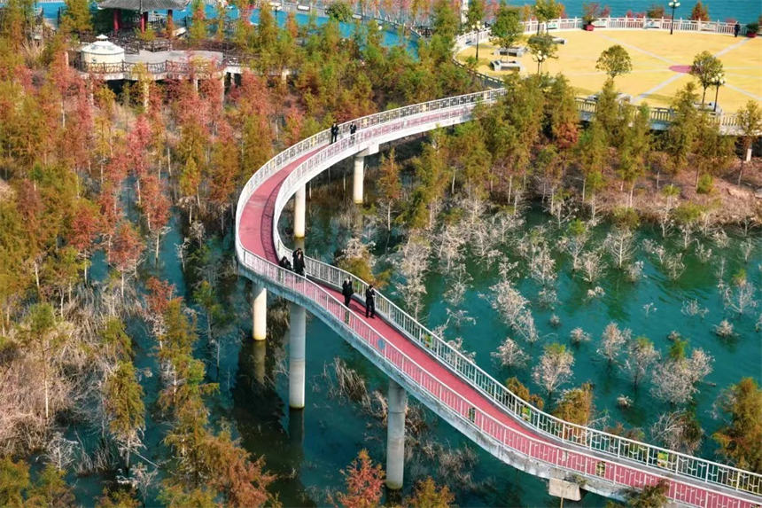 f݅^(q)(zhn)VːܞIL(fng) svz