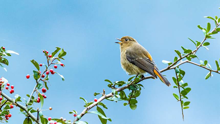 {(ln)~tβzڽɽŸ衱z