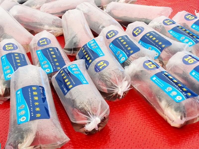 渝湖牌水庫魚。王茜攝