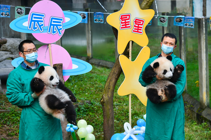 ؈̰֡p̥؈u(l)z