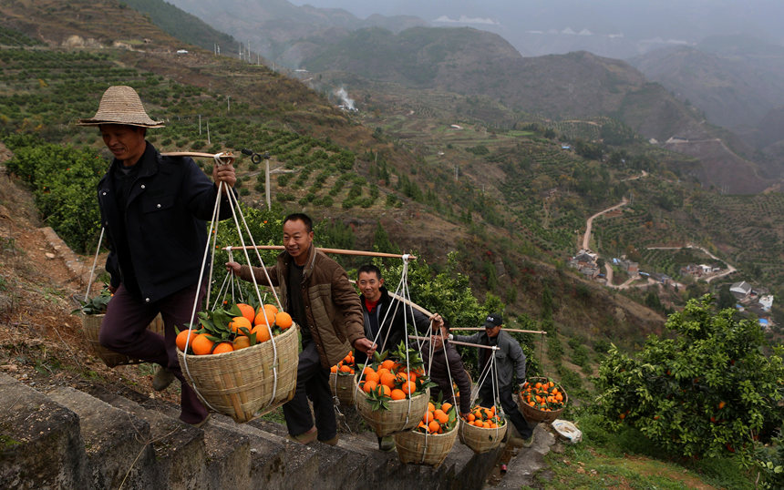 ѽ(jng)ɞɽ¸ġRȑcz