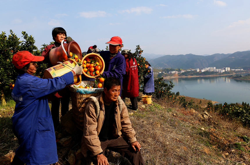 ѽ(jng)ɞɽ¸ġRȑcz