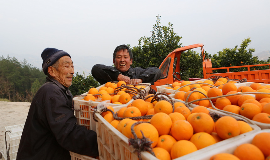 ѽ(jng)ɞɽ¸ġRȑcz