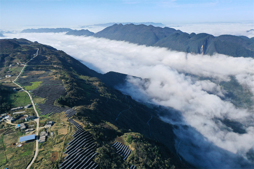 ǭ^(q)wɽ漰4(g)壬l(f)s1|z