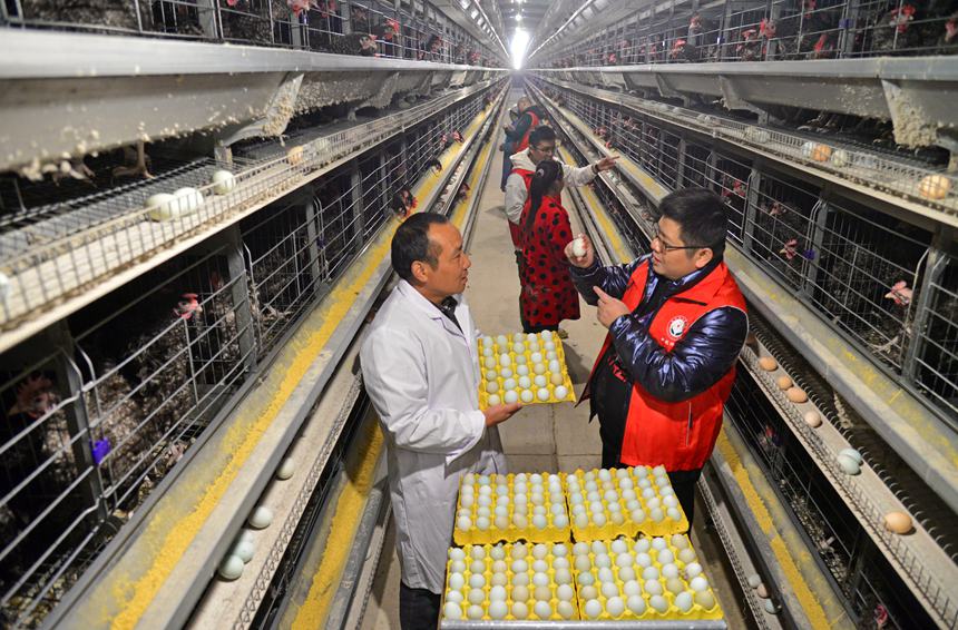 ƼɆTָ(do)JuB(yng)ֳg(sh)Sz