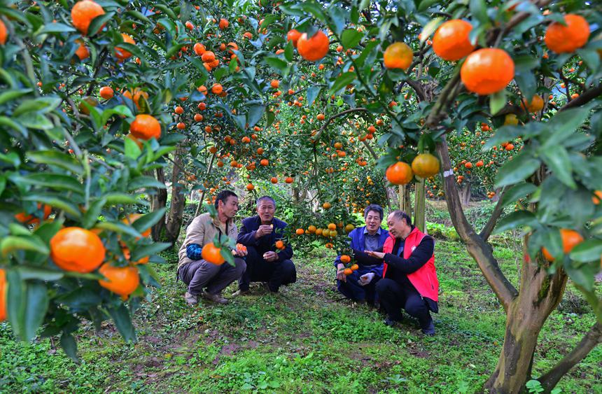 ƼɆTָ(do)r(nng)żtSz