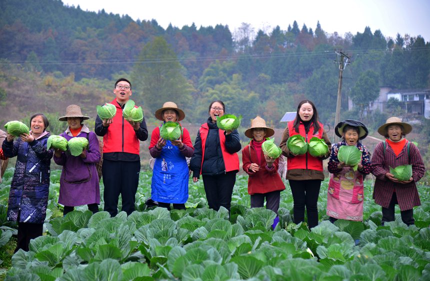 ƼɆTָ(do)NֲİײӭSSz