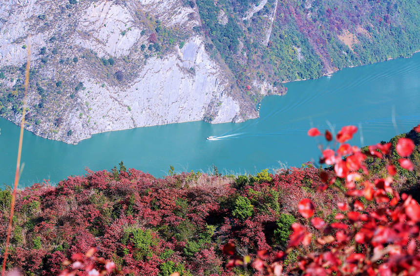 ؑcɽhLɰļt~ɽҰRȑcz