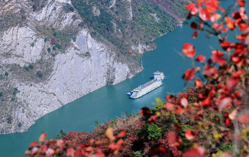 ؑcɽhL(zhng)ɰļt~ɽҰRȑcz