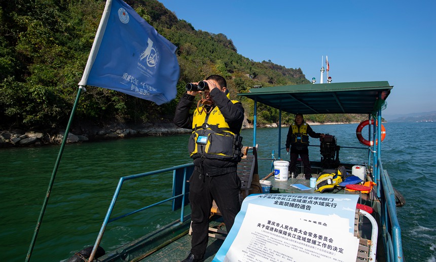 o(h)O(du)TL(zhng)ֶѲ߉Ƚ܊z