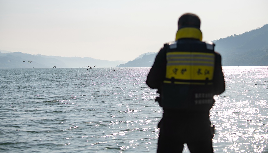 o(h)O꠆TLֶѲ߉Ƚ܊z