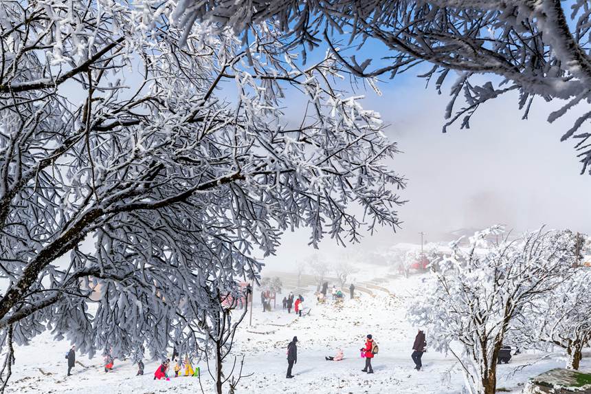 οڽɽѩMѩȤz