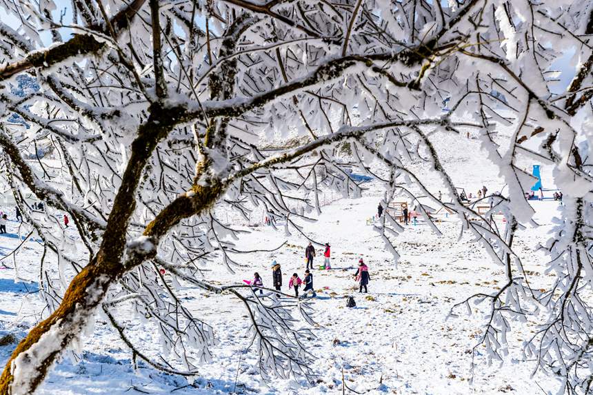 ɽ^(q)ybعһɱ(gu)L(fng)⡣z