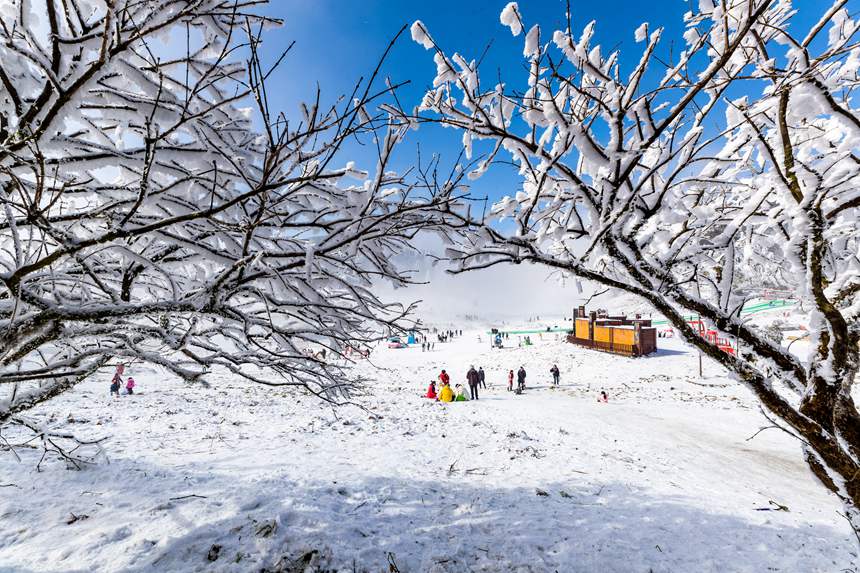 ɽ^(q)ybعһɱLz