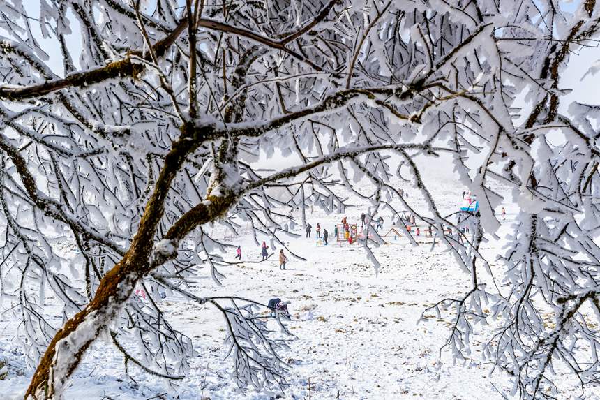 ɽ^(q)ybعһɱL(fng)⡣z