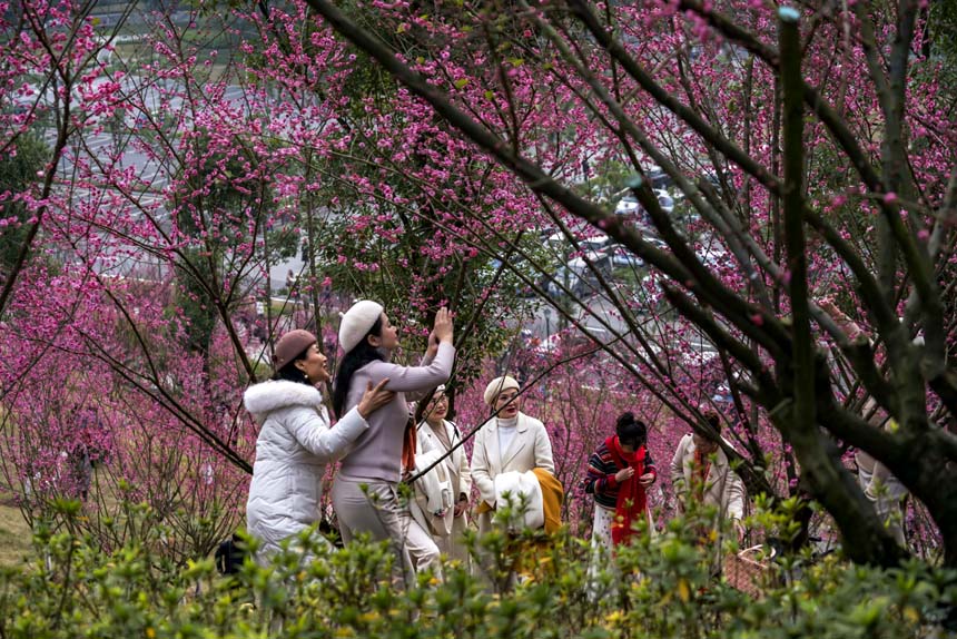 ظ蘷ɽʰAɽ÷Rɻο͠ӰSM(jn)z