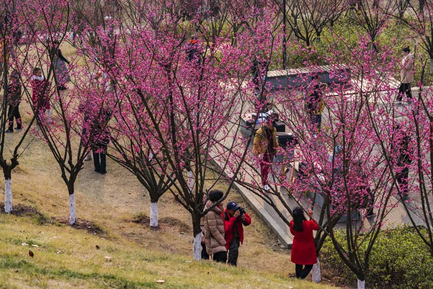 R(ji)蘷(l)ɽȻ`ŵļt÷ɞpһ(g)ȥ̎SM(jn)z