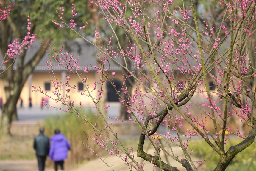 Vꖍu÷`o򴺁ؑc(jng)_^(q)D