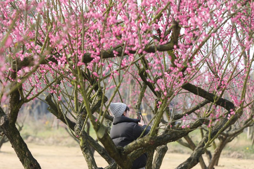 Vꖍu÷`o򴺁ؑc(jng)_^(q)D