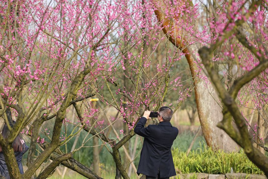 V(yng)u÷`o򴺁(li)ؑc(jng)_(ki)^(q)D