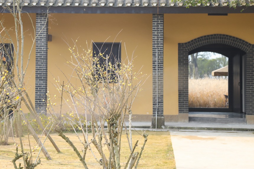 V(yng)u÷`ţo򴺁(li)ؑc(jng)_^(q)D