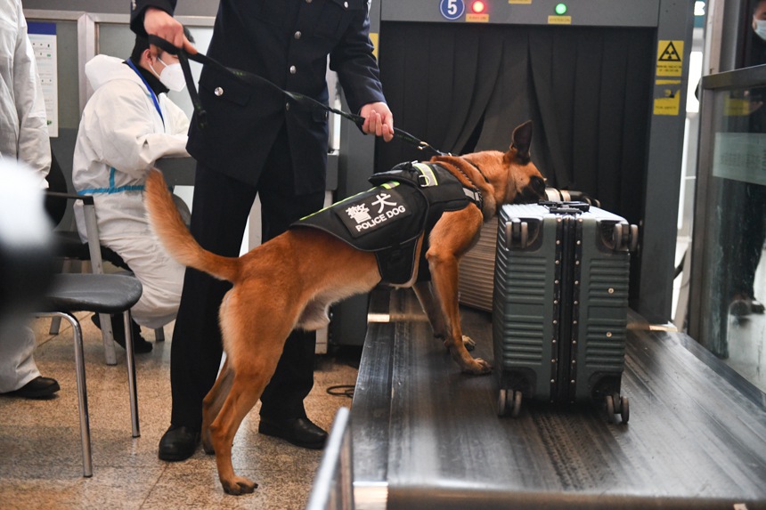 ؑcF·̎ľȮؑcվVѱ_\ȫuz