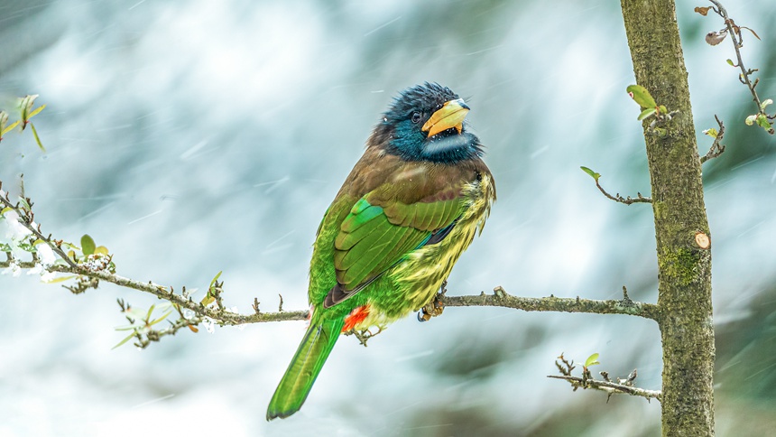 ؑcϴ^(q)ɽƺ(zhn)RδĔzĴMľB(nio)z