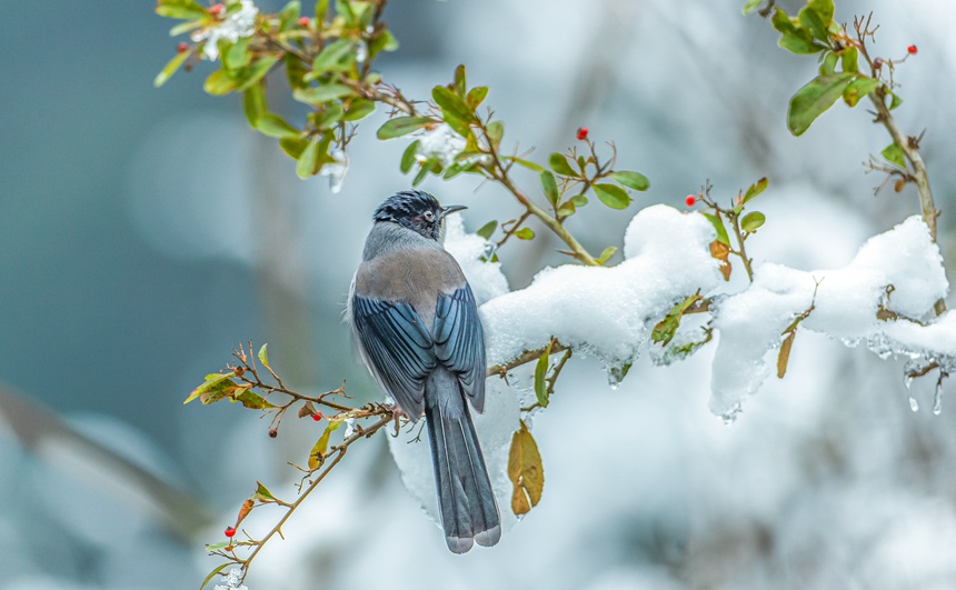 ؑcϴ^(q)ɽƺ(zhn)RδĔzĺ^z