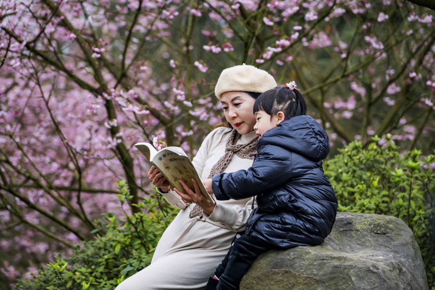 ɽֲ@ѻ`ţοǰ^pSM(jn)z