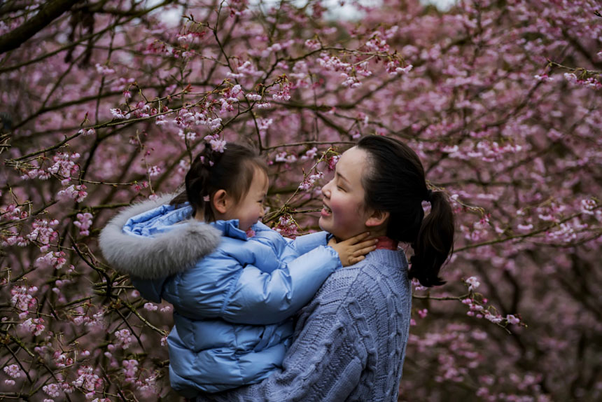 ɽֲ@ѻ`οǰ^pSMz