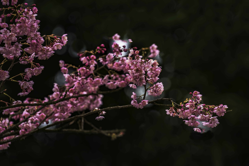 紺ɽֲ@ѻڳůM`SM(jn)z