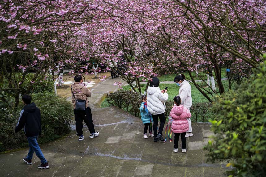 ɽֲ@ѻ(jng)`ţοǰ(li)^(gun)pSM(jn)z