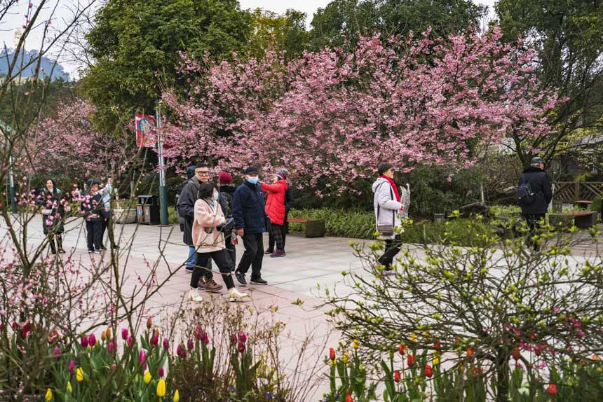 ɽֲ@ѻ(jng)`οǰ(li)^pSM(jn)z